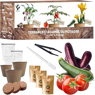 NOPALIA® Kit Potager Prêt à Pousser – Graines Bio (Tomate, Courgette, Aubergine) – Jardin Intérieur & Extérieur – Cadeau Original Jardinage DIY – Décoration Écologique – Made in France