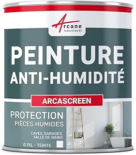 ARCANE INDUSTRIES Peinture anti humidité pour mur humide en plâtre, béton, placo, cave et sous-sol, salle de bain, sdb, anti moisissure, salpêtre, isolante : Arcascreen - 0.75 L (jusqu