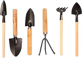 6 Pièces Outils de Jardinage Miniatures – Kit Pelle, Râteau, Griffe pour Plantation, Désherbage, Sol – Acier Inoxydable & Poignée en Bois – Idéal Balcon, Potager, Cadeau Jardinier Débutant