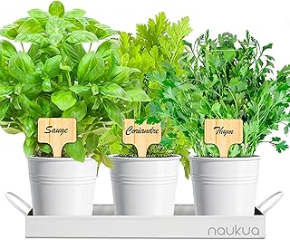 Kit Plantes Aromatiques - Potager Interieur - Mini Jardin Urbain Plantes Aromatiques et Culinaires (Thym, Coriandre et Sauge) Graines Bio d