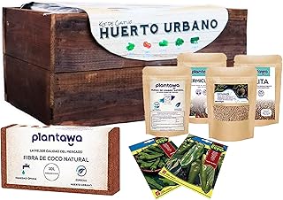 PLANTAWA Kit de Plantation pour poivrons, kit de Culture Complet pour Potager Urbain, jardinière intérieure pour Maison, kit de Culture pour Plantes Naturelles de poivrons, Bois