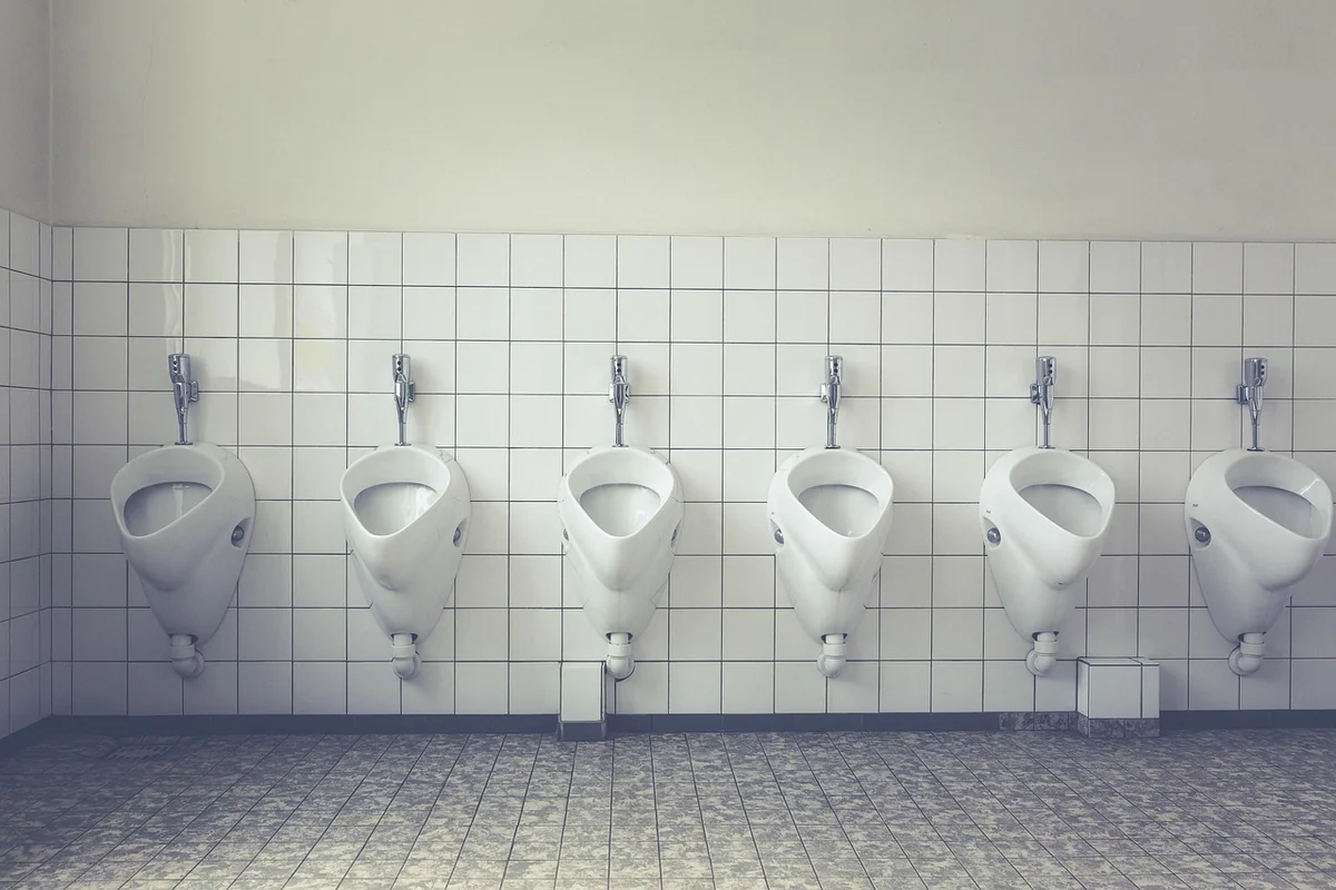 Les causes de leur apparition dans vos toilettes
