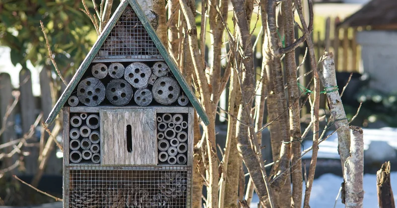 Les matériaux écologiques les plus efficaces : mon retour d'expérience