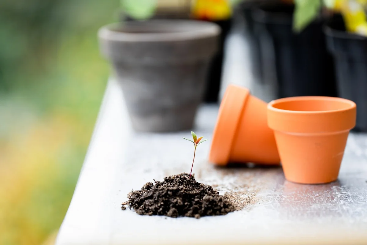 La boutique du jardinier : guide complet des meilleurs outils en 2026