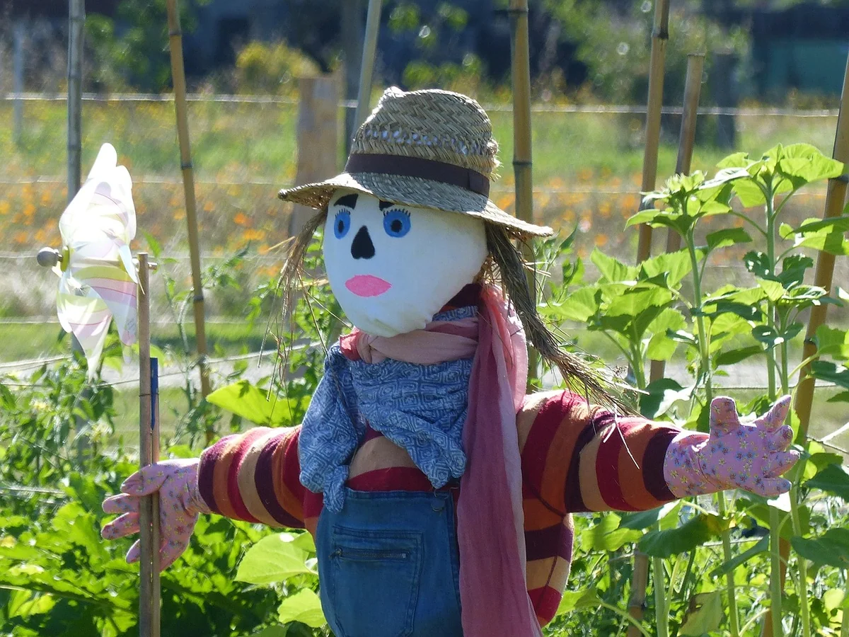 Permaculture urbaine : le retour aux sources en ville