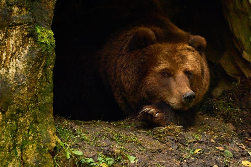 ours